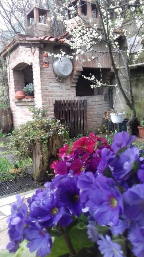 Casa Patti Alle Porte Di Siena Dış mekan fotoğraf
