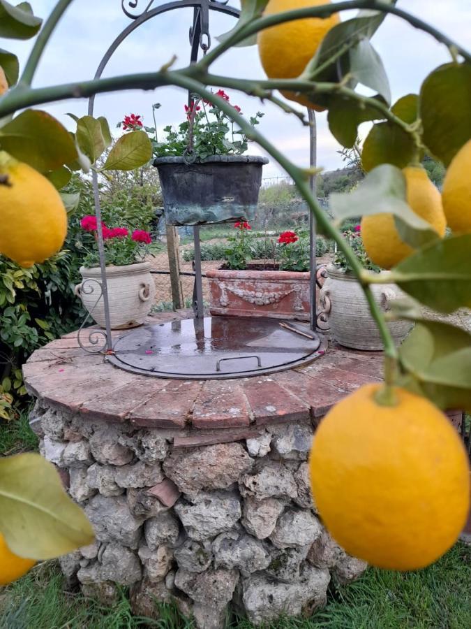 Casa Patti Alle Porte Di Siena Dış mekan fotoğraf
