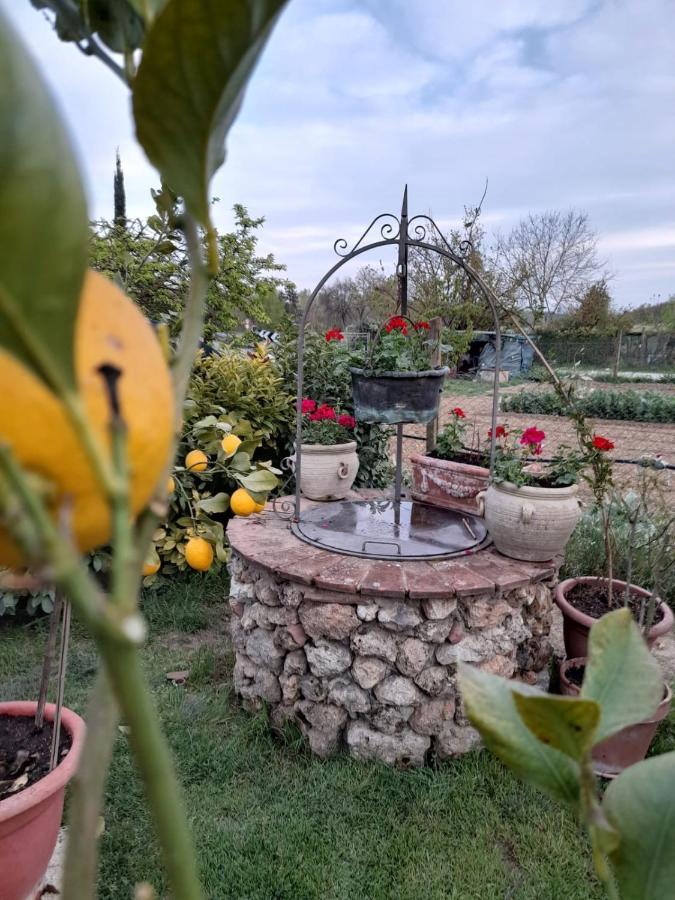 Casa Patti Alle Porte Di Siena Dış mekan fotoğraf